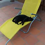 Hotel Mhotel Motta