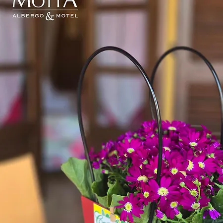 酒店 Mhotel Motta 科斯蒂廖莱达斯蒂