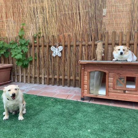 Mhotel Motta Hotel 3*