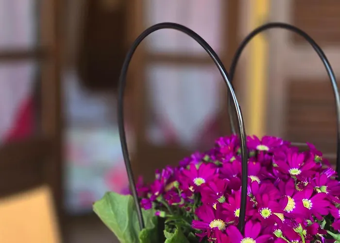 Szálloda Mhotel Motta Costigliole d'Asti